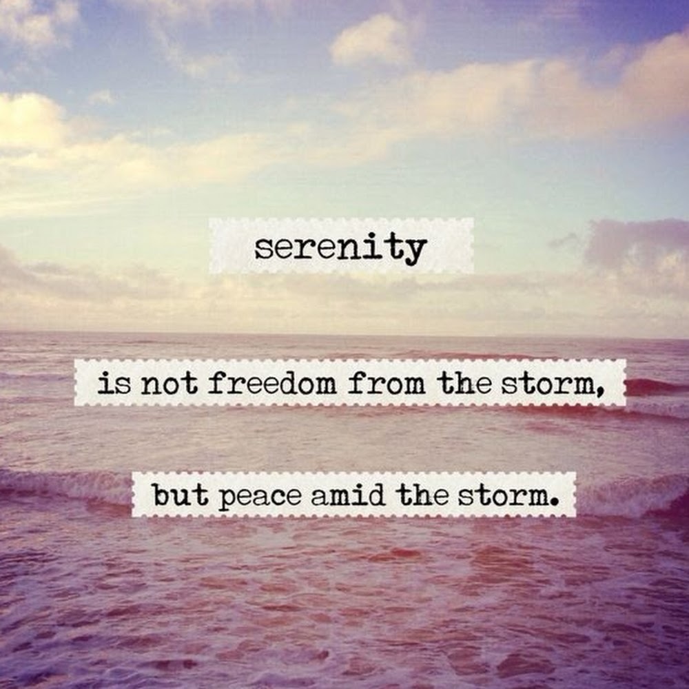 Meet your Posher, Agnes